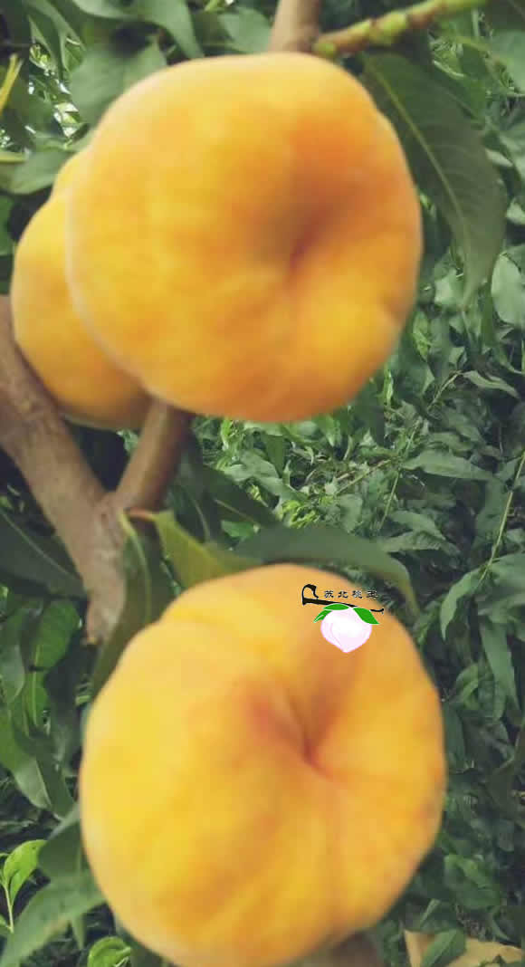 ΢ͼƬ_170830105553.jpg