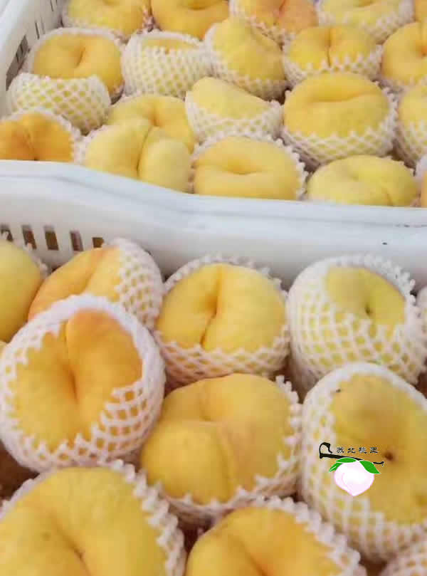 ΢ͼƬ_170830105559.jpg