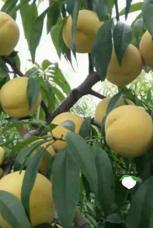΢ͼƬ_170830105711.jpg