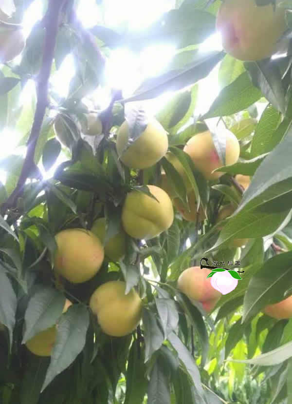 ΢ͼƬ_170830105306.jpg