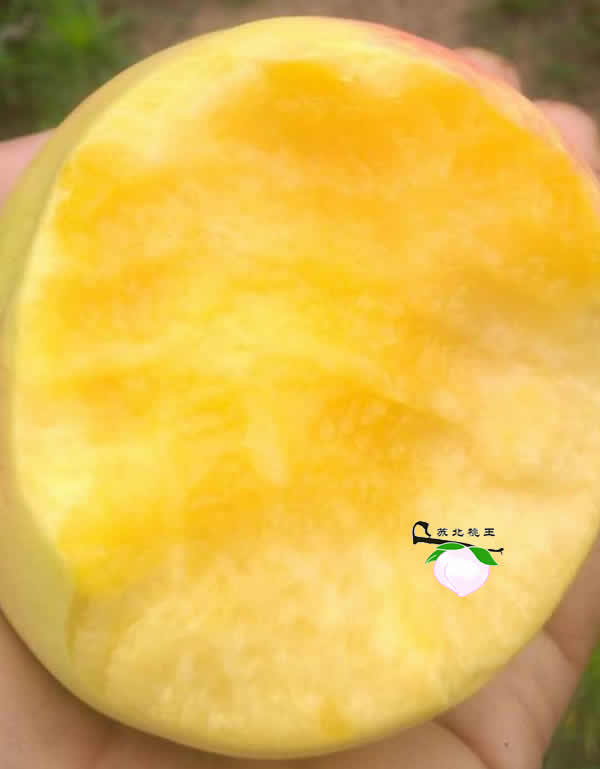 ΢ͼƬ_170830105252.jpg