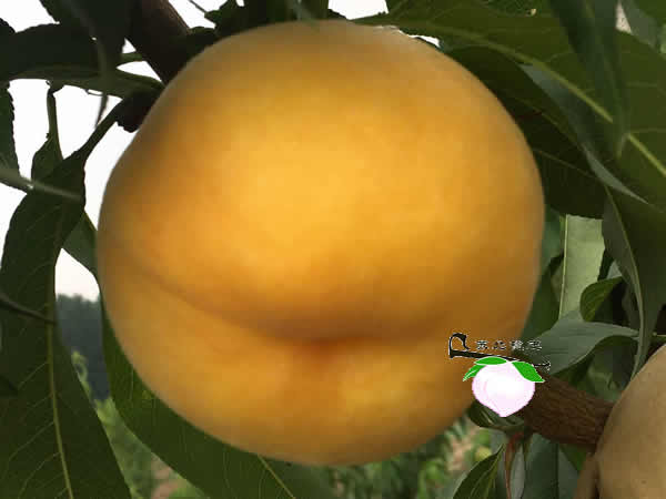 ΢ͼƬ_170830105243.jpg